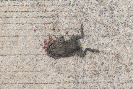 胃腐烂图片-胃腐烂素材-胃腐烂插画-摄图新视界