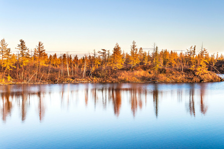 在苔原在泰梅尔半岛湖照片