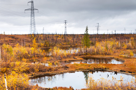 在苔原在泰梅尔半岛湖照片