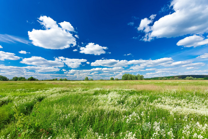 绿色的原野和蓝蓝的天空