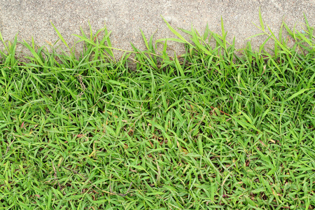 地板天然草图片