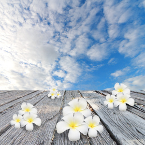 花修饰背景修饰天空云与草地上的花朵照片
