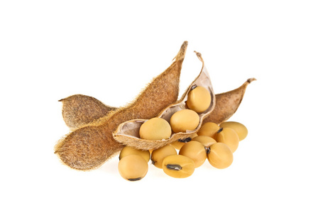 蛋白质植物大豆豆荚隔离在白色背景上.豆浆蛋白质植物照片