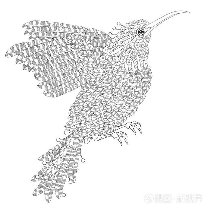 有羽毛,图案和羽毛的太阳鸟插画-正版商用图片1oc8ie-摄图新视界
