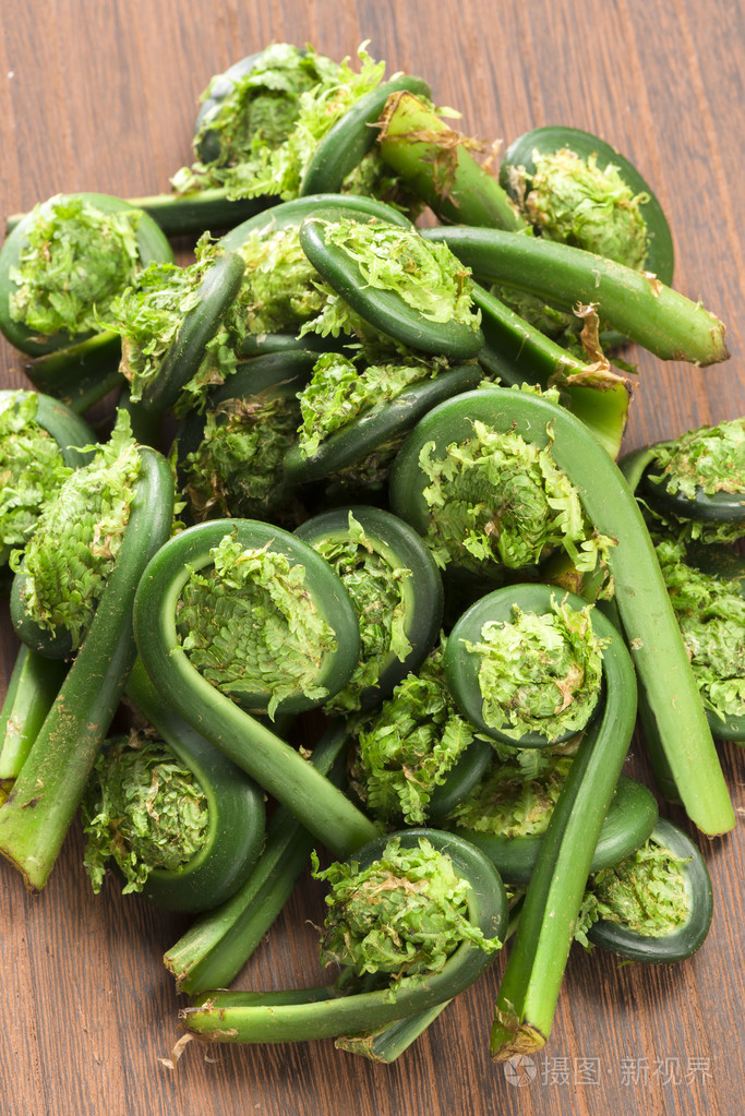 蕨类植物可食用的野生植物食物的收获