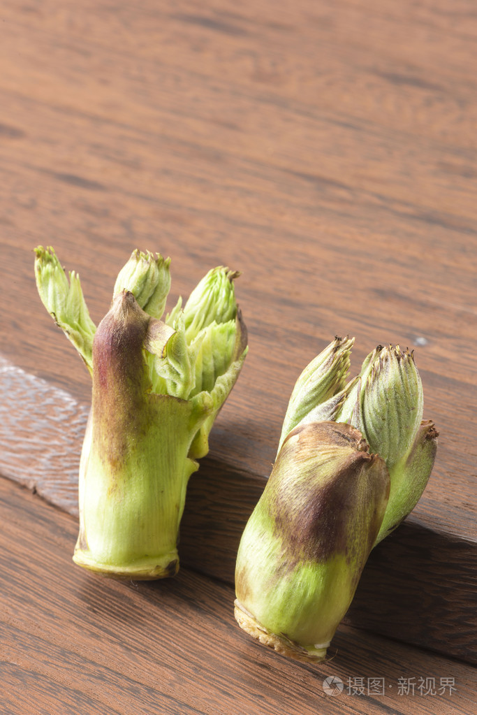 芽菜中化学需氧量的收获