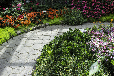 农村花园房子门口图片