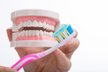 牙刷牙齿护理图片