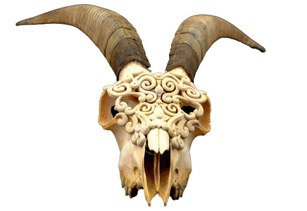 山羊头骨图片-山羊头骨素材-山羊头骨插画-摄图新视界