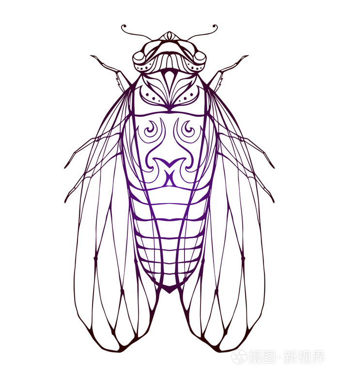 波西米亚风模式与插图蝉