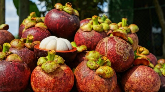 美味的热带水果山竹果图片