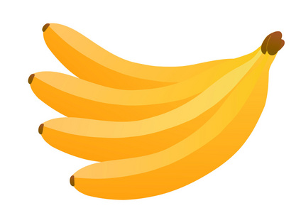 在植物上的香蕉图片