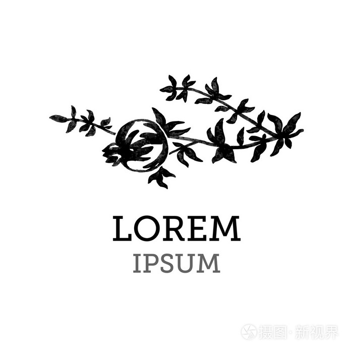 石榴树枝徽标插画-正版商用图片1of1sg-摄图新视界