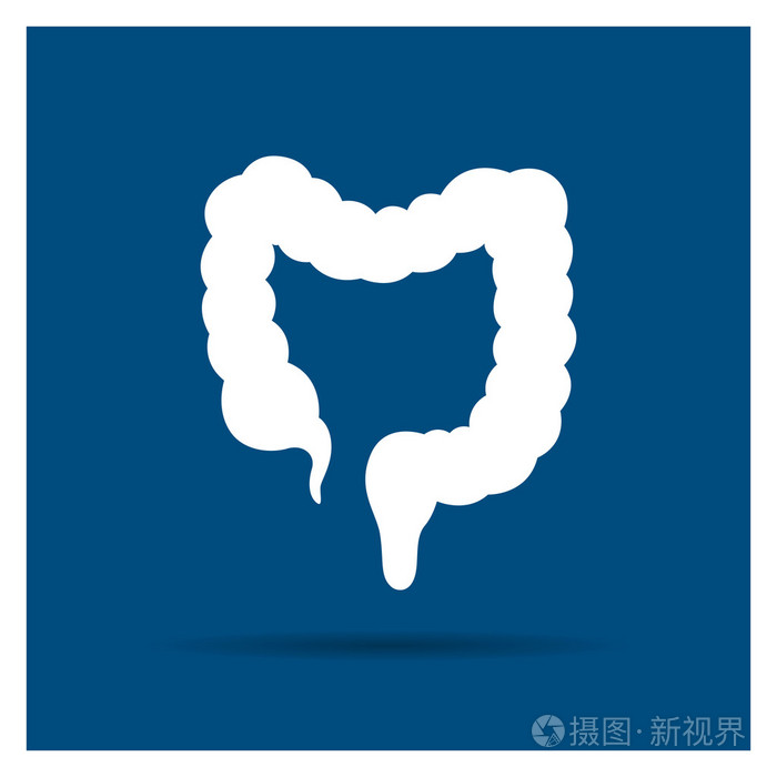 矢量结肠图标