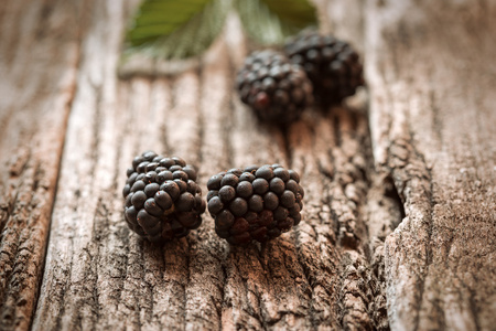 黑莓 (荆棘,brambleberry) 是健康的莓果插画