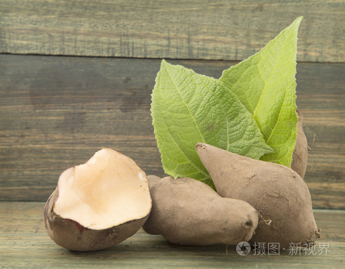 根和叶的新鲜雪莲果