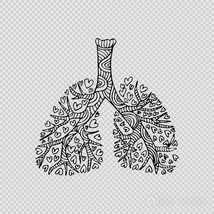 肺的插图涂鸦画的人体器官