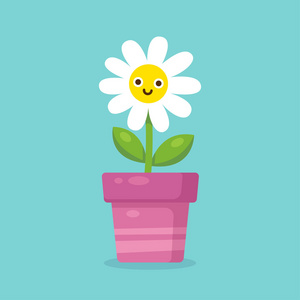 卡通花卉盆栽照片