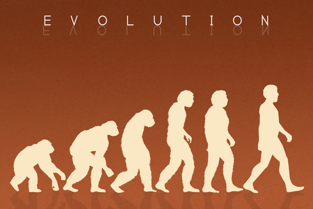 物种起源物种进化照片