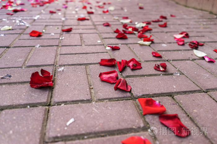 碎玻璃间人行道上的玫瑰花瓣