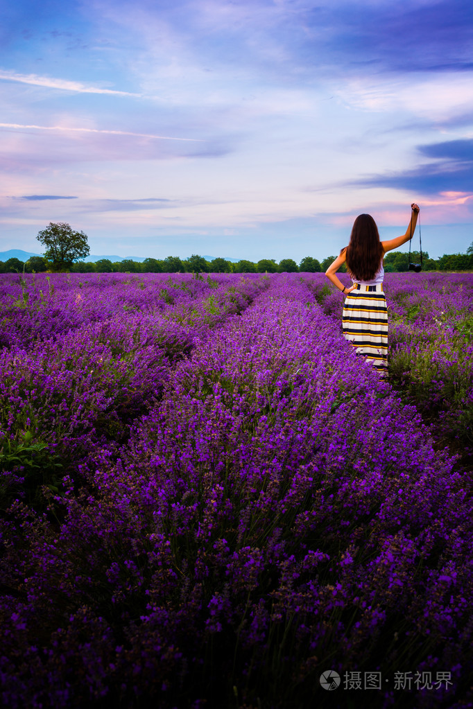 美丽的女孩用相机在保加利亚的薰衣草田
