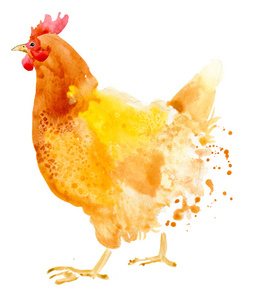 鸡水图片-鸡水素材-鸡水插画-摄图新视界