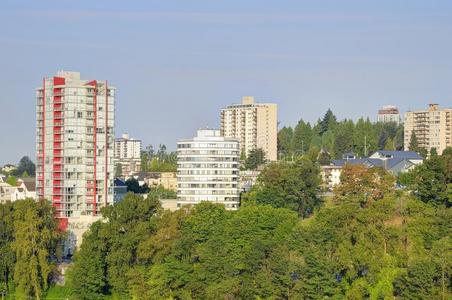 新的 房子 中心 小山 加拿大 建筑学 旅行 建筑 夏天