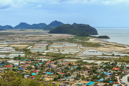 风景 海洋 草坪 外部 亚洲 美丽的 作物 地平线 土地