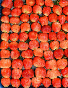 新鲜成熟红色草莓天然水果背景