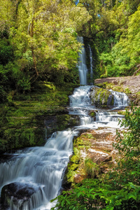 卡特林斯 深的 自然 级联 风景 生态系统 蕨类植物 麦克林