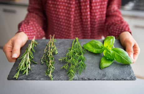 特写家庭主妇展示新鲜香料草药