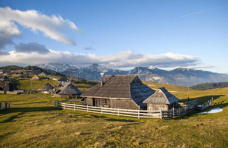 房子 领域 美极了 奶牛 吸引力 自然 美丽的 欧洲 斯洛文尼亚