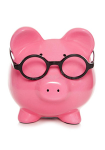 秘书 书呆子 小猪 演播室 安全 银行 投资 安全的 金融