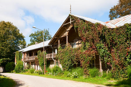 框架 秋天 小屋 两次 古老的 生长 爬山虎 夏天 外部