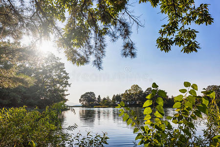 阳光 太阳 旅行 反射 场景 夏天 树叶 美丽的 自然 假期