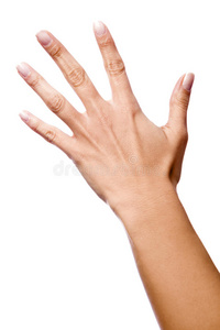 一只手的背面照片