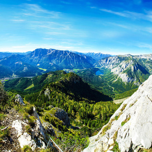 松木 乡村 森林 高地 欧洲 颜色 岩石 国家 登山 徒步旅行