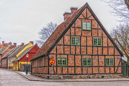 城市景观 欧洲 房子 斯堪尼亚 财产 假日 建筑 植物 外观