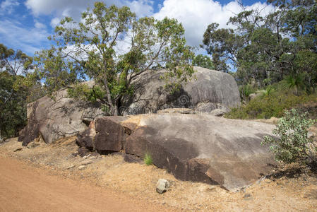 探索 矿物 生态学 澳大利亚 公园 地质学 自然 福尔斯特
