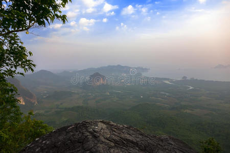 植物 美丽的 追踪 亚洲 克拉比 风景 泰国 小山 自然