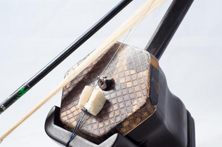 二胡招生二胡小提琴照片