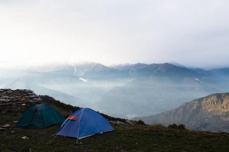 黎明 美女 落下 树叶 自然 公园 小山 森林 秋天 活动