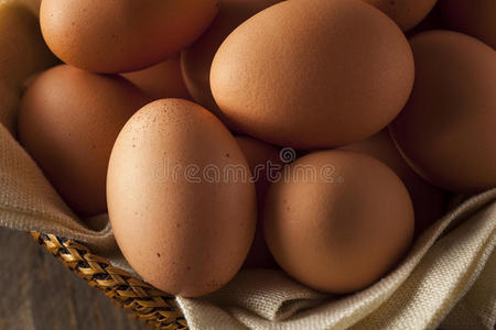 复活节 动物 食物 母鸡 软的 早餐 农场 蛋壳 蛋黄 自然