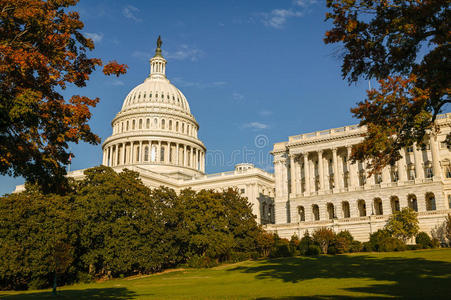 美国人 纪念碑 建筑学 颜色 国家 国会大厦 华盛顿 联合