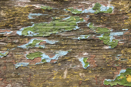 植物 油漆 绘画 湿地 纹理 风景 剥皮 池塘 植被 古老的