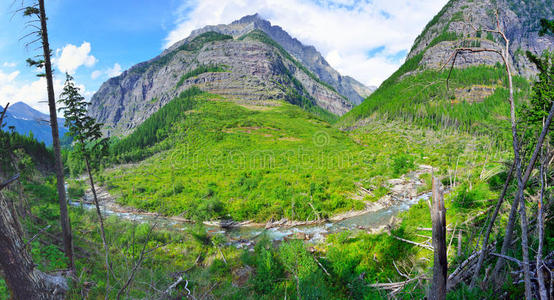 针叶树 自然 营地 徒步旅行 夏天 国家的 追踪 背包旅行