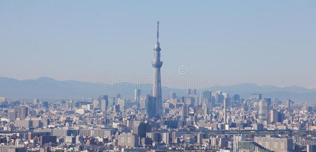 东京市景