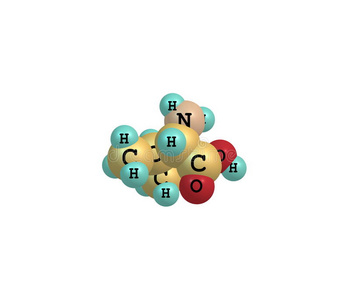 分子 瓦尔 要素 债券 酸的 营养 科学 氨基 生物化学