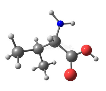 科学 氨基 化学 营养 缬氨酸 医学 生物化学 债券 分子