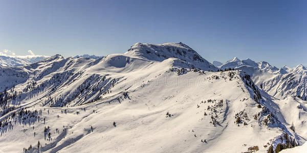 自然 天空 冰川 环境 假日 寒冷的 求助 运动 季节 奥地利